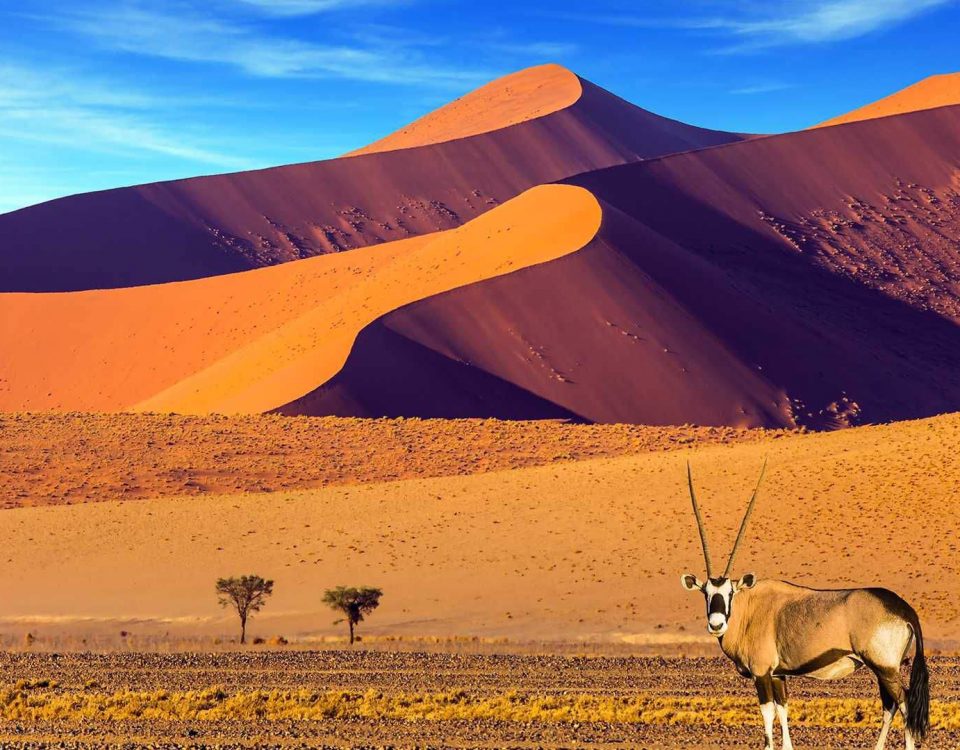 ספארי משפחתי בנמיביה עולם הספארי