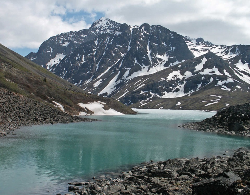 טיול באלסקה עולם הספארי