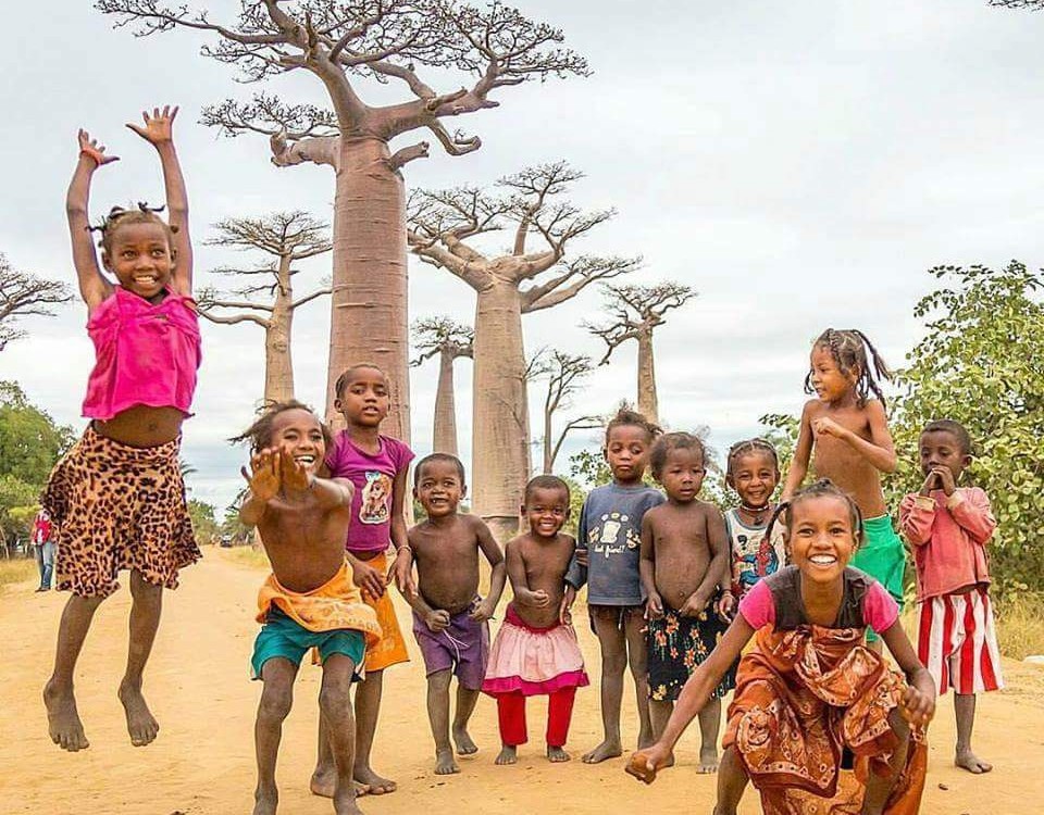 טיול מקיף במדגסקר עולם הספארי באובב