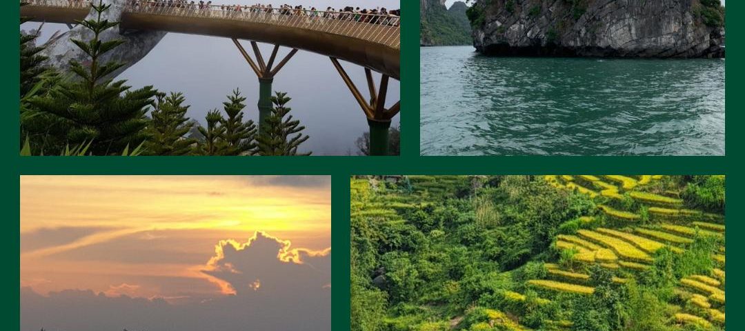 טיול מאורגן מקיף בקמבודיה ובויטנאם עולם הספארי